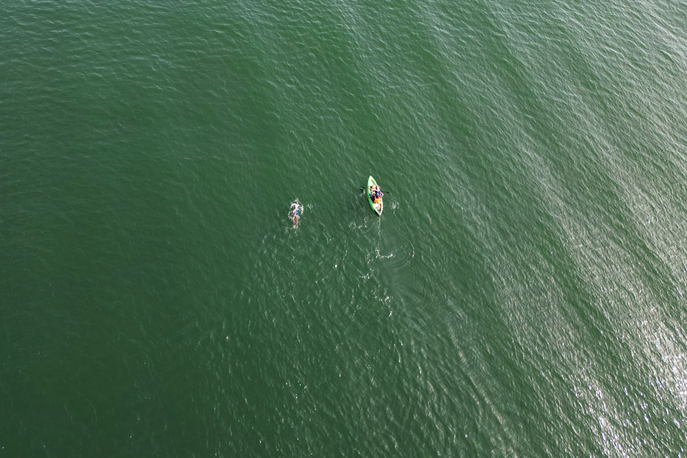 Yvette Tetteh swims in the Volta River in Ghana, accompanied by a crew member in a kayak. (Courtesy of the Or Foundation)